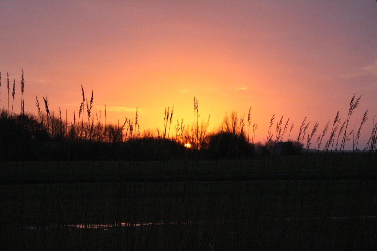 Nordsee Lodge Pellworm Dış mekan fotoğraf