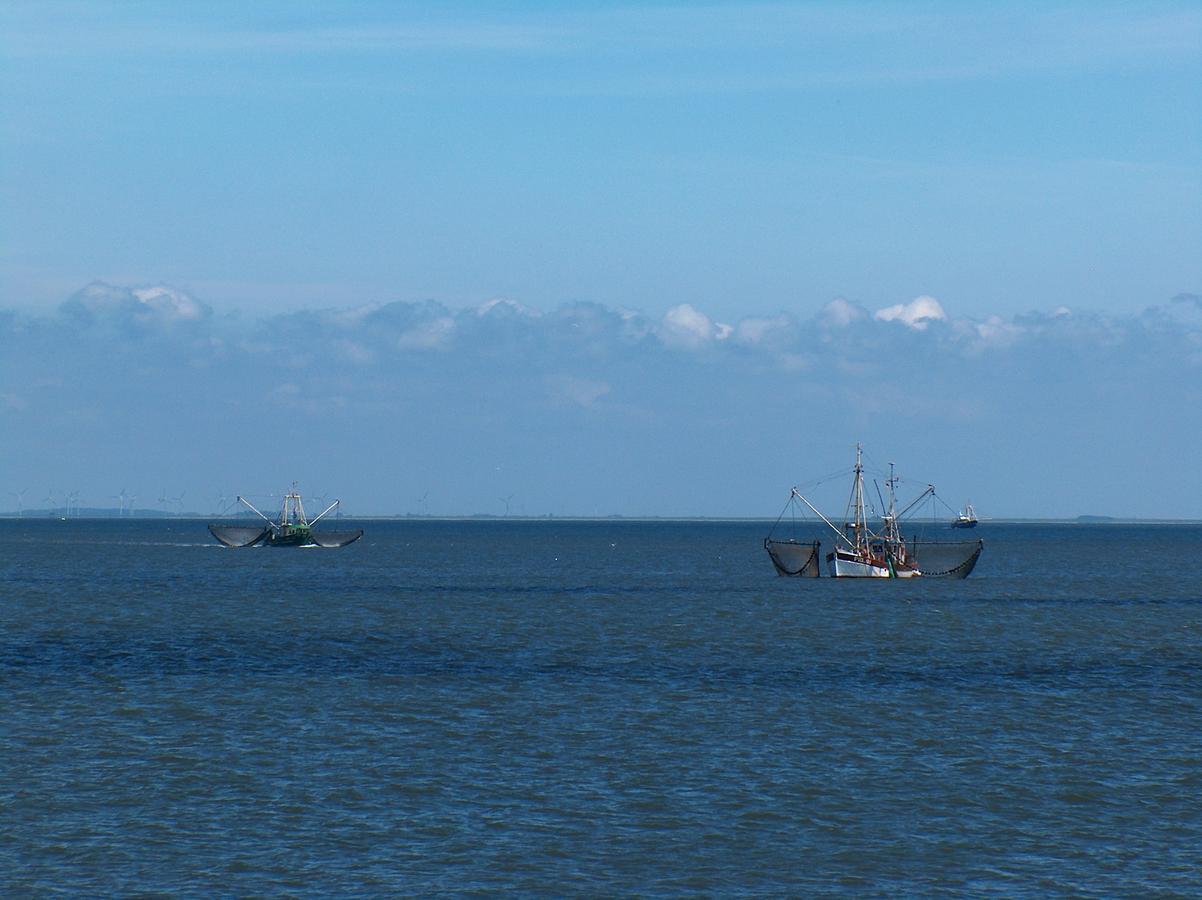 Nordsee Lodge Pellworm Dış mekan fotoğraf